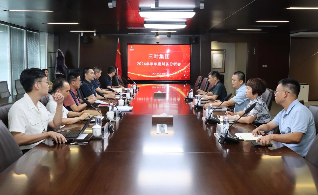 三葉集團召開2024年半年度經(jīng)營和財務(wù)分析會